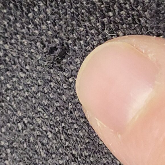 Patrick Francis Celtic Knot Scarf 100% Pashmina 70" Charcoal Gray Book of Kells - Picture 6 of 16